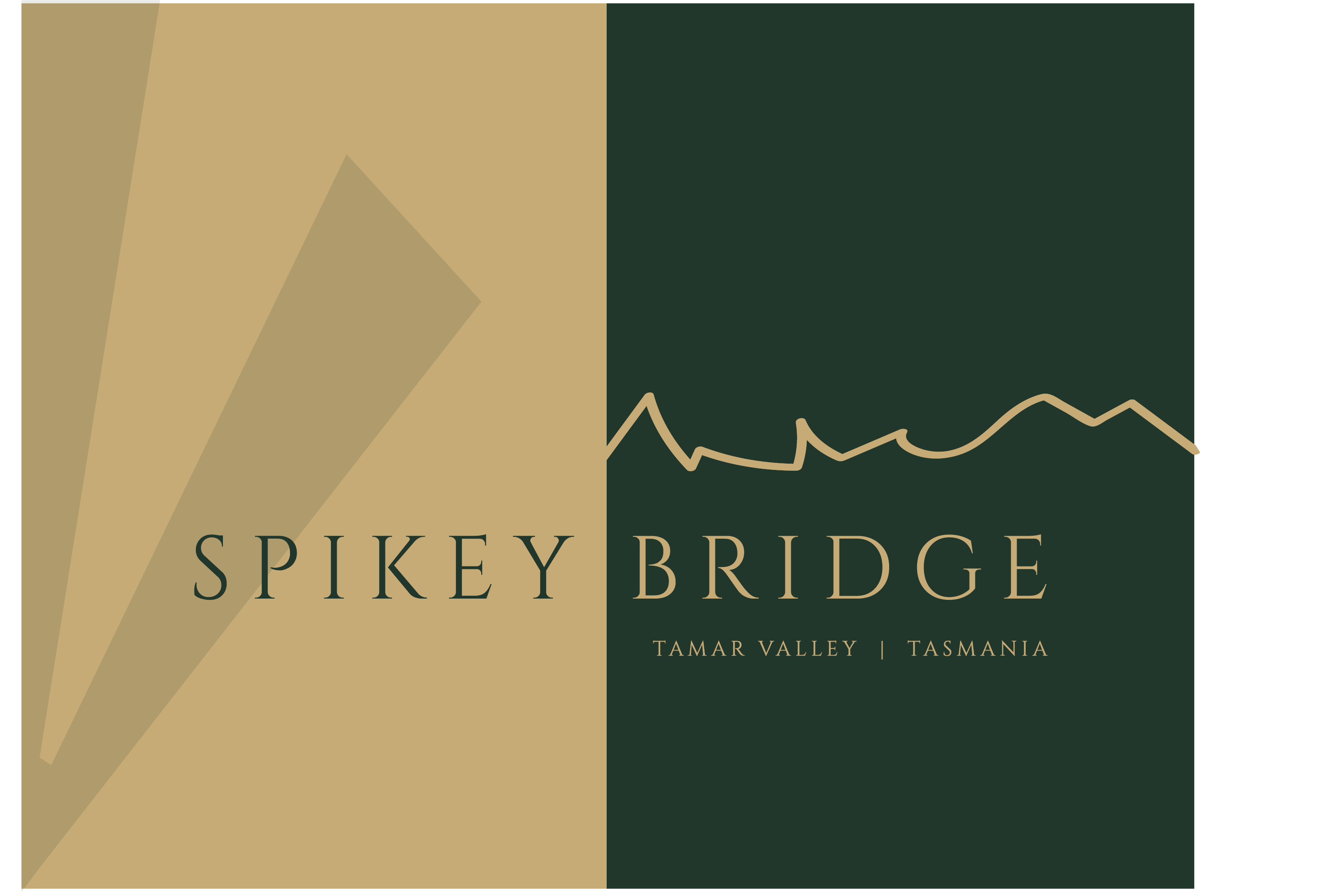 Spikey Bridge Vineyard logo